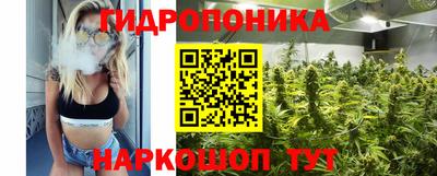 каннабис Новозыбков