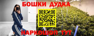 спиды Новокубанск