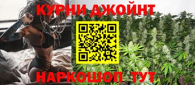 каннабис Новозыбков