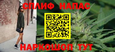 каннабис Новозыбков