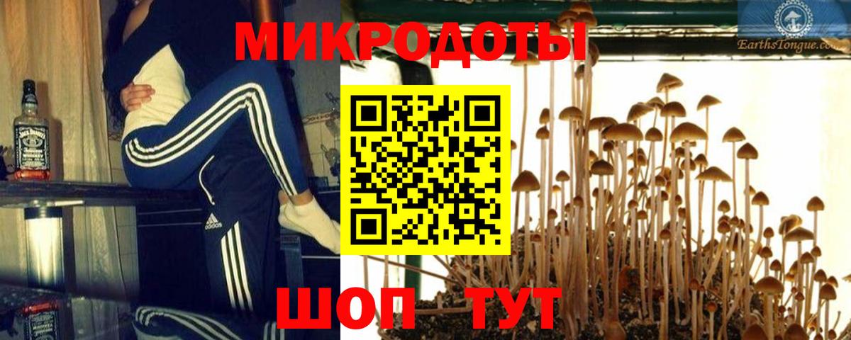 Галлюциногенные грибы прущие грибы Сердобск