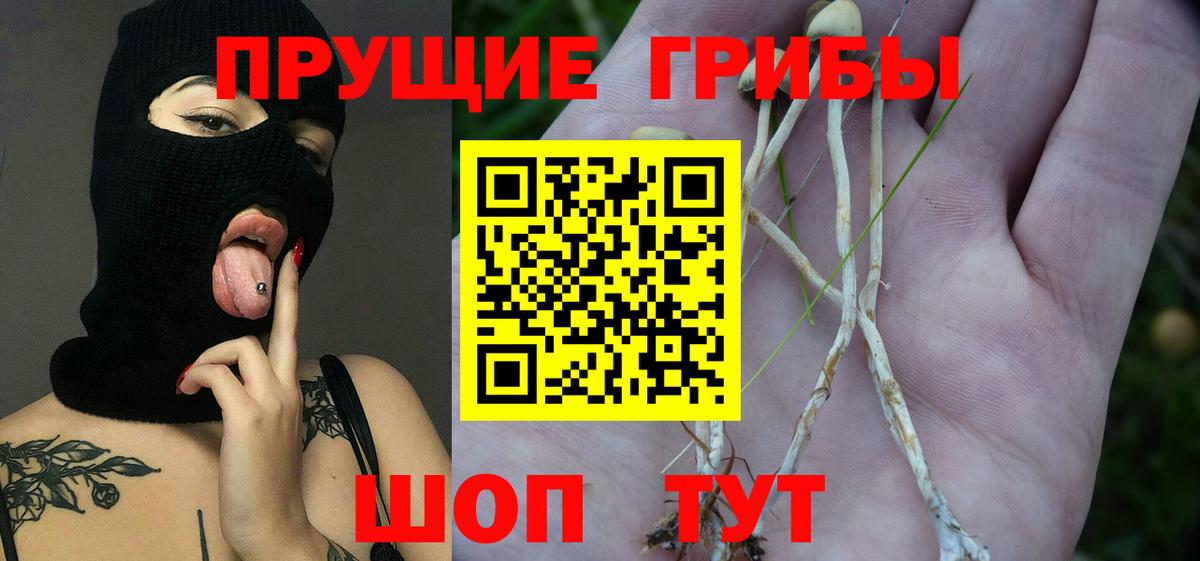 Галлюциногенные грибы мухоморы  Вход с VPN  Сердобск  Псилоцибиновые грибы прущие грибы 